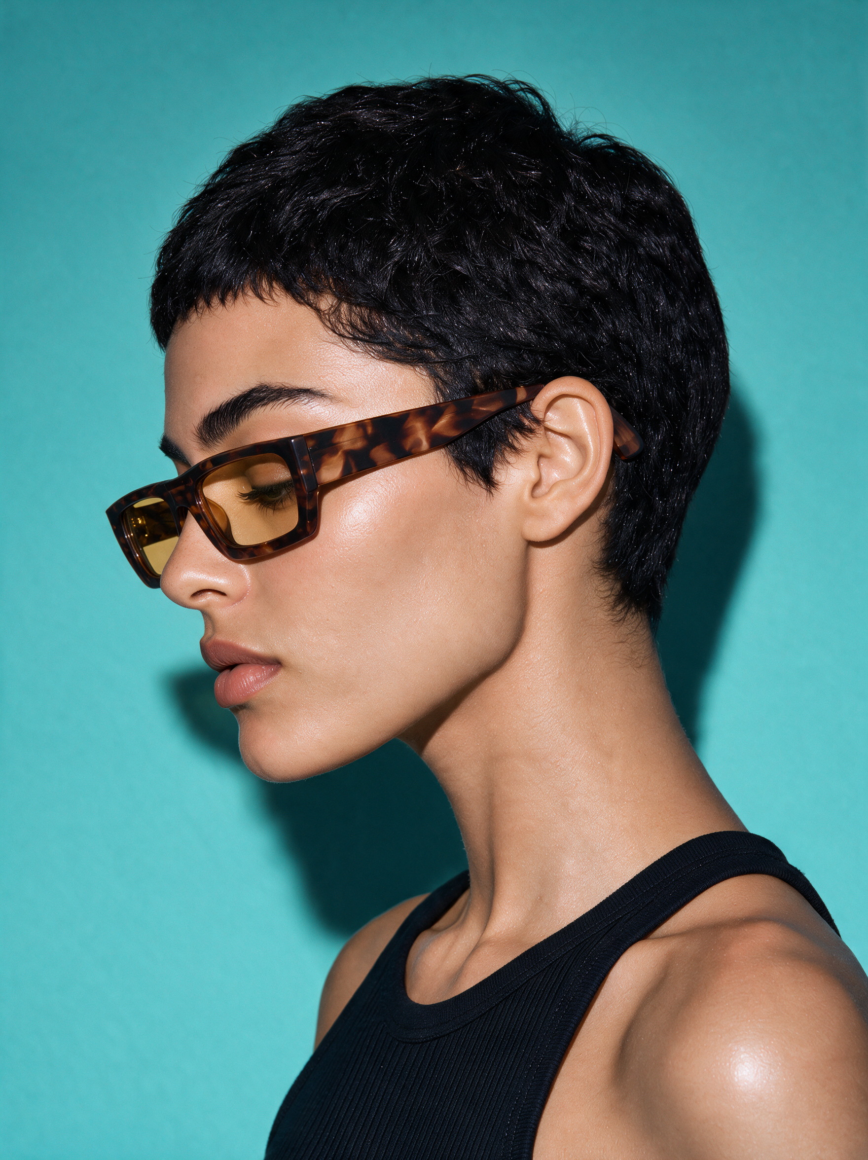 BLADE Frame 17 in BRINDLE, full profile